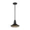 Nuvo Fixture, Pendant, 1-Light, Incandescent, 60W, 120V, A19, Medium Base, Style: Nautical and Coastal 60/7043 - alternate 3
